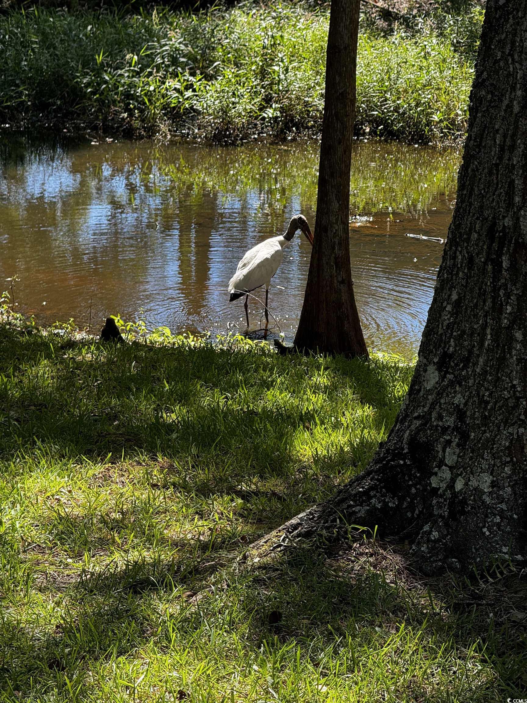 814 2nd Avenue Georgetown, SC 29440 - Photo 37 of 39 Aerial overview of property's location featuring a nearby body of water