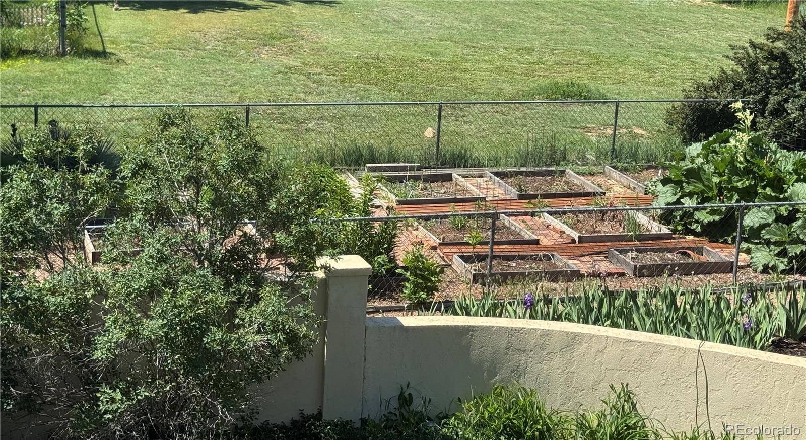 1069 Crestmoor Drive Boulder, CO 80303 - Photo 29 of 45 a view of a yard with plants