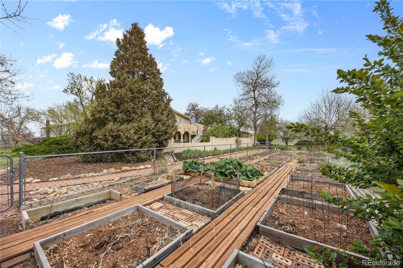 1069 Crestmoor Drive Boulder, CO 80303 - Photo 30 of 45 a view of a yard with an outdoor space