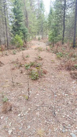 $98,000 | Nkn Wilderness Avenue, Cusick, WA 99119