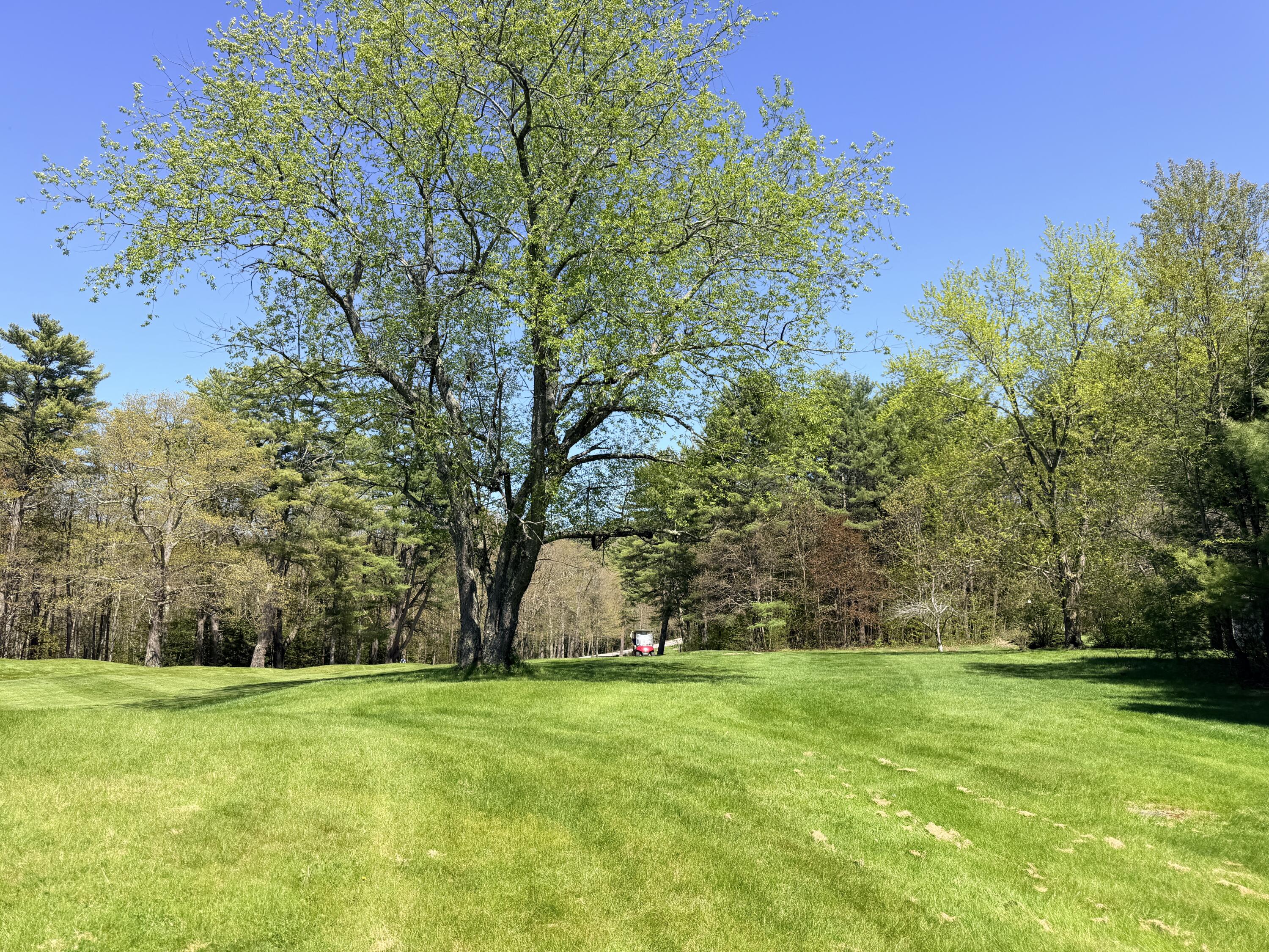 Lot 4 Emery Road Parsonsfield, ME 04047 - Photo 12 of 42 IMG_5321