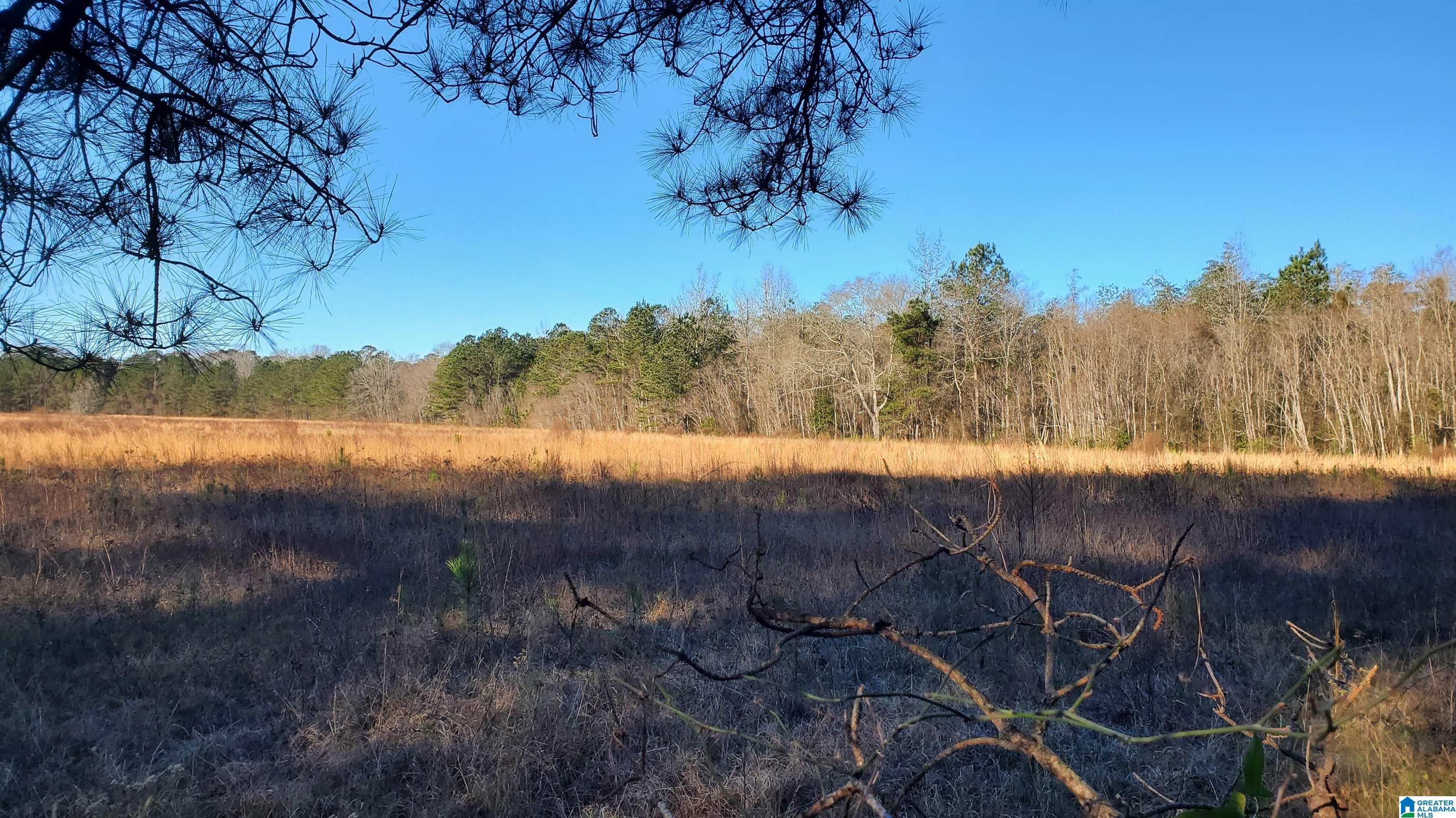 Sandtown Road, Unit 1 Millbrook, AL 36054 - Photo 9 of 11