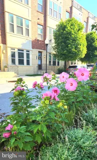 $675,000 | 1313 Benjamin Street, Baltimore, MD 21230