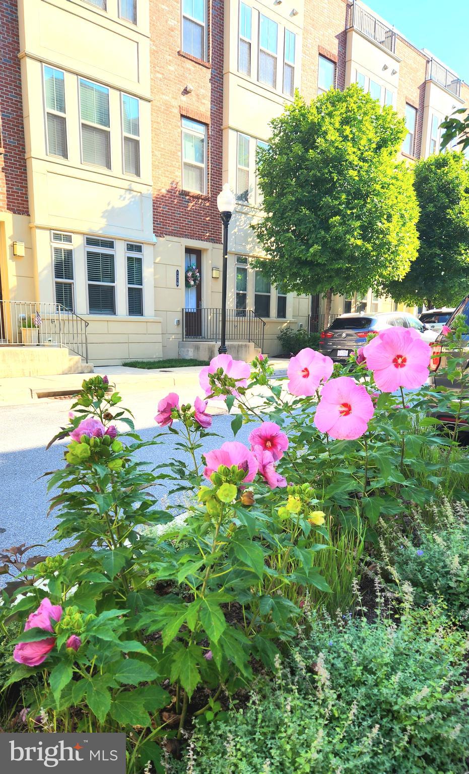 1313 Benjamin Street Baltimore, MD 21230 - Photo 2 of 56 Flowers out front