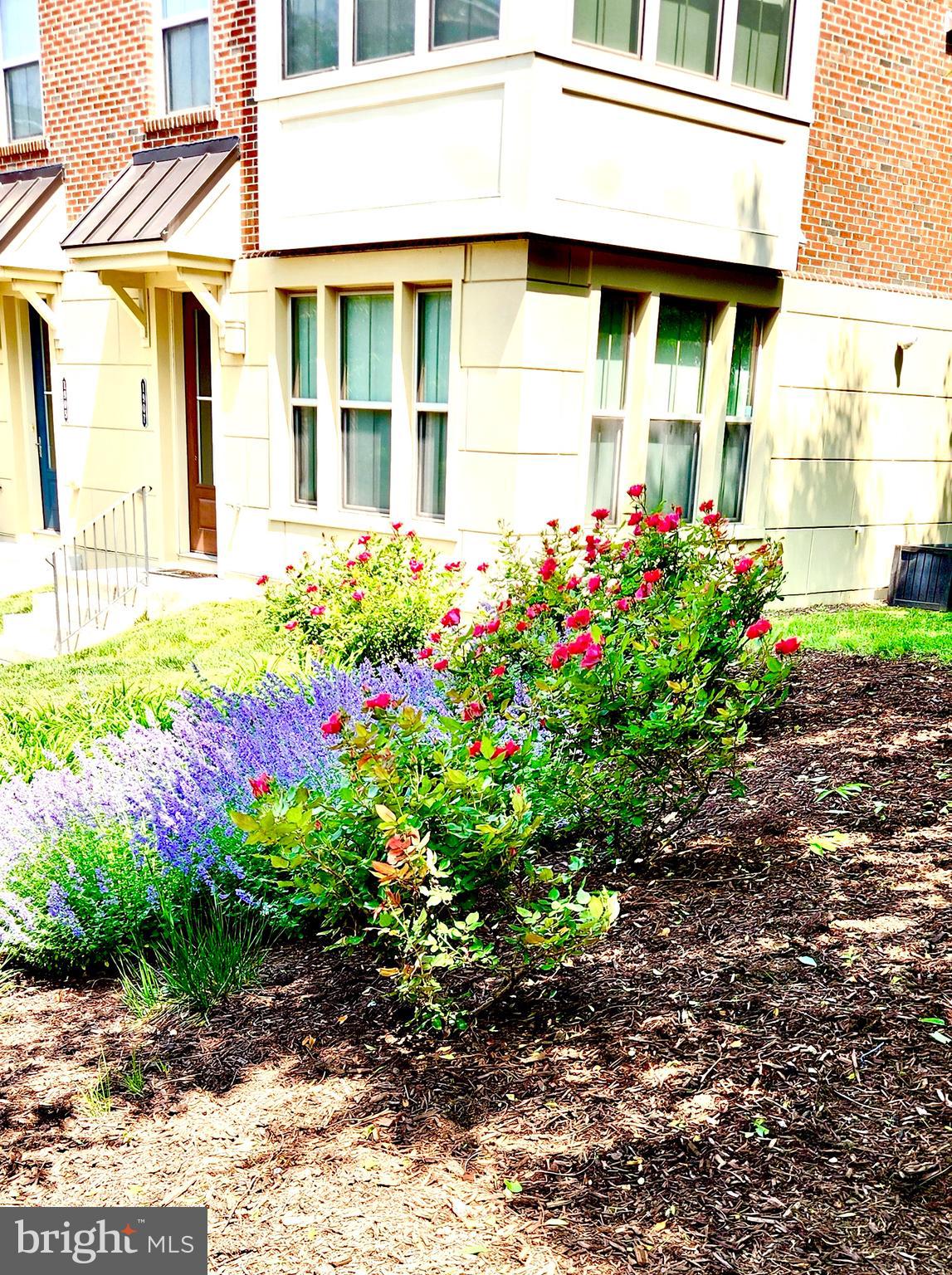 1313 Benjamin Street Baltimore, MD 21230 - Photo 54 of 56