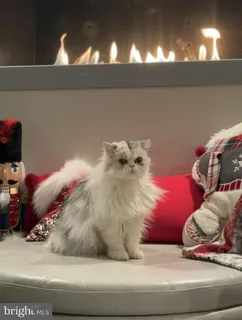 $675,000 | 1313 Benjamin Street, Baltimore, MD 21230