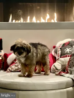 $675,000 | 1313 Benjamin Street, Baltimore, MD 21230