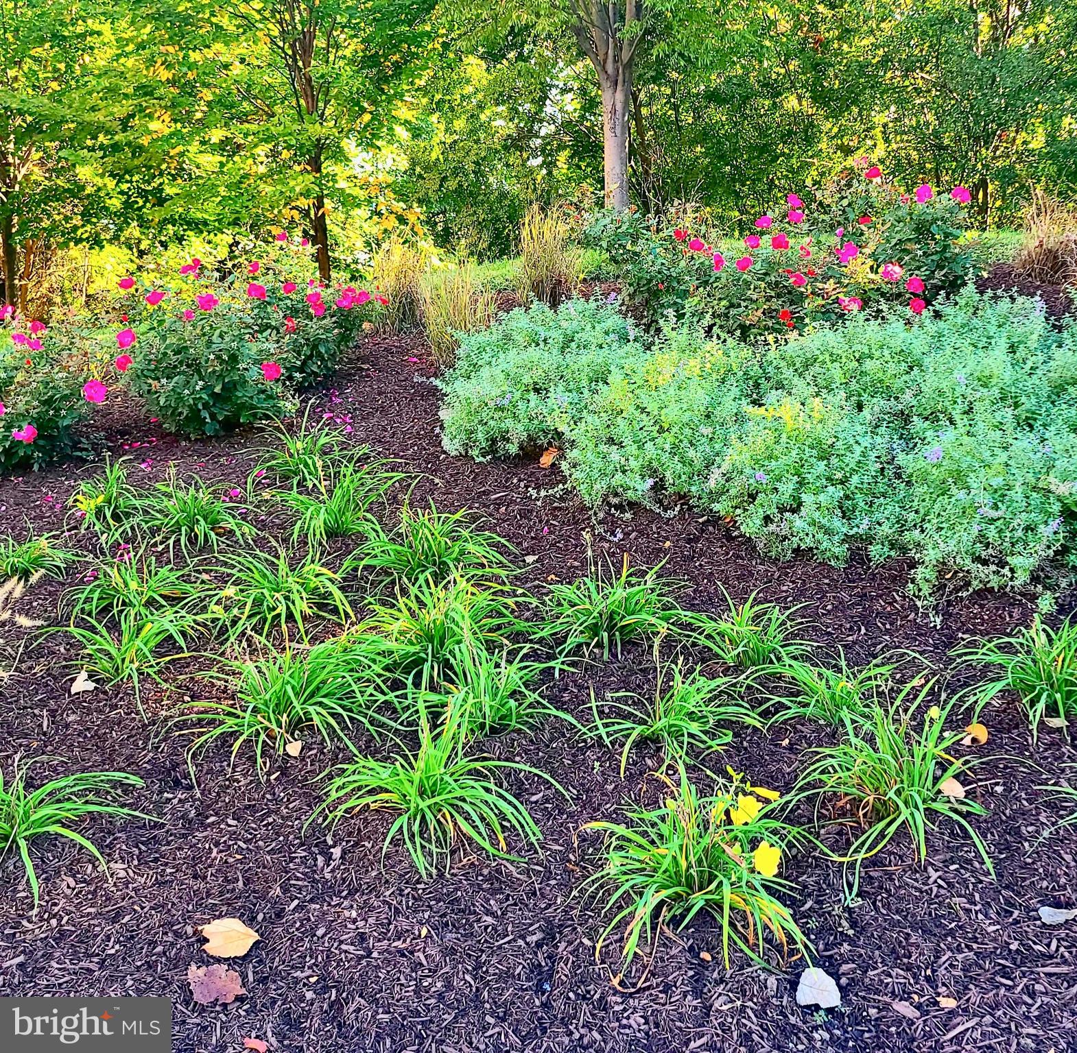 1313 Benjamin Street Baltimore, MD 21230 - Photo 6 of 56