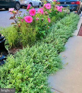 $675,000 | 1313 Benjamin Street, Baltimore, MD 21230