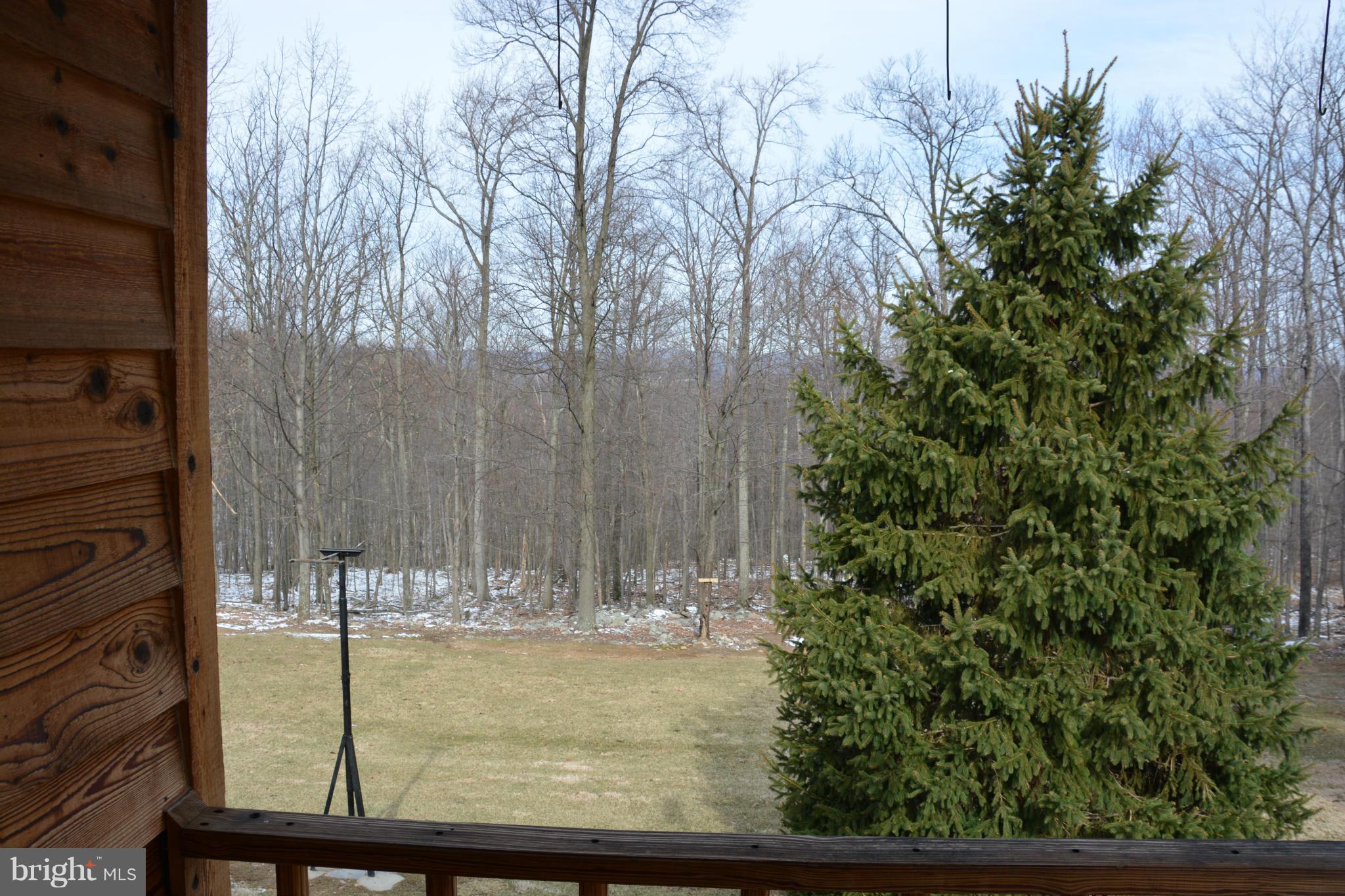 523 Sawlog Road Gore, VA 22637 - Photo 21 of 30 a view of swimming pool from a balcony