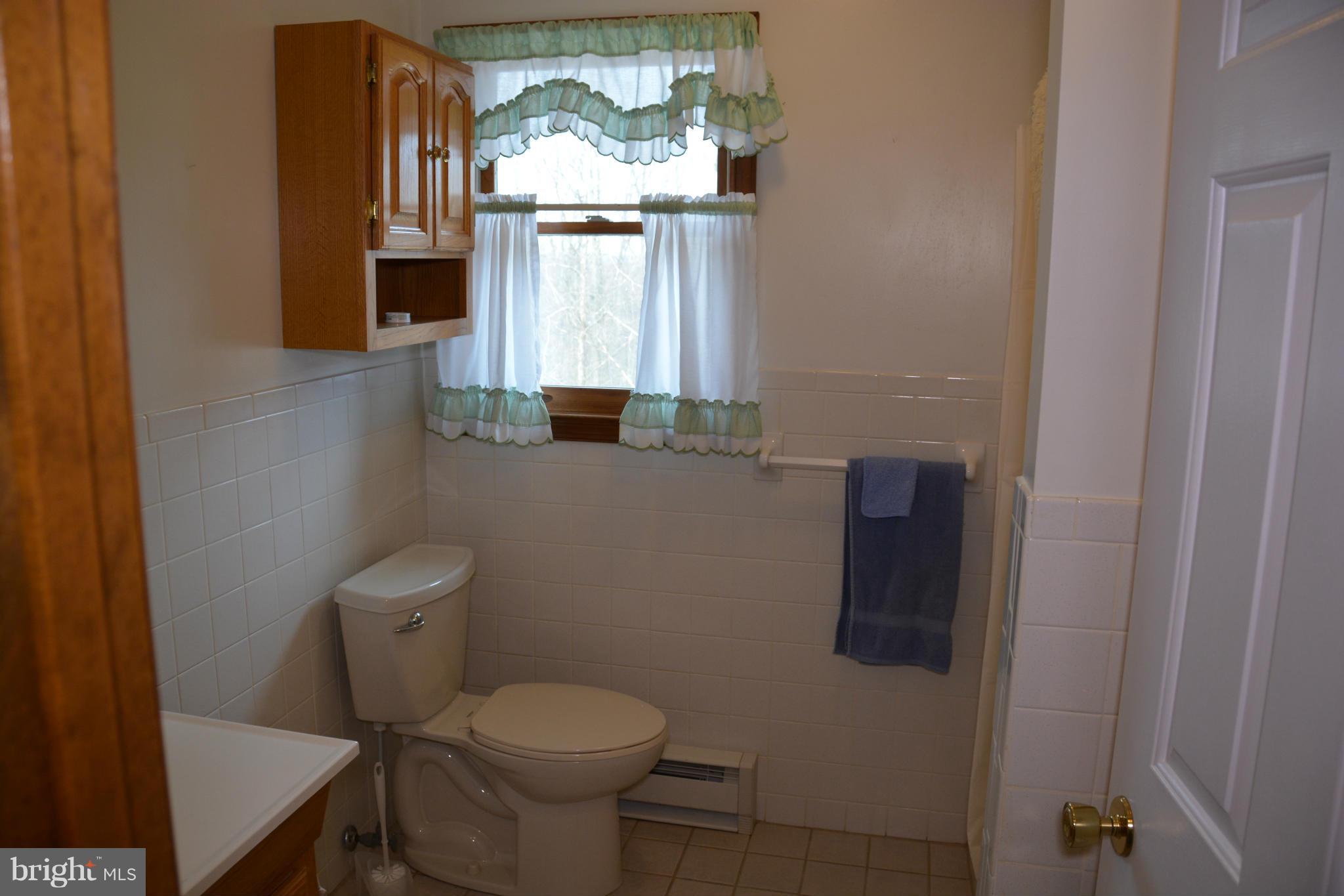 523 Sawlog Road Gore, VA 22637 - Photo 8 of 30 a bathroom with a toilet sink and mirror