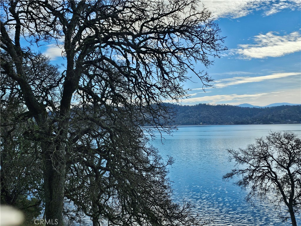 a view of lake with tree in back