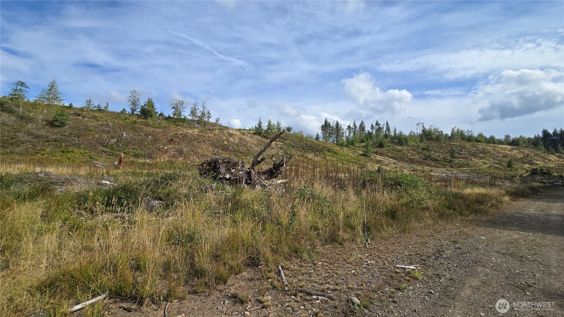 -ap A P Tubbs Road Buckley, WA 98321 - Photo 3 of 33 Gallery Image 3