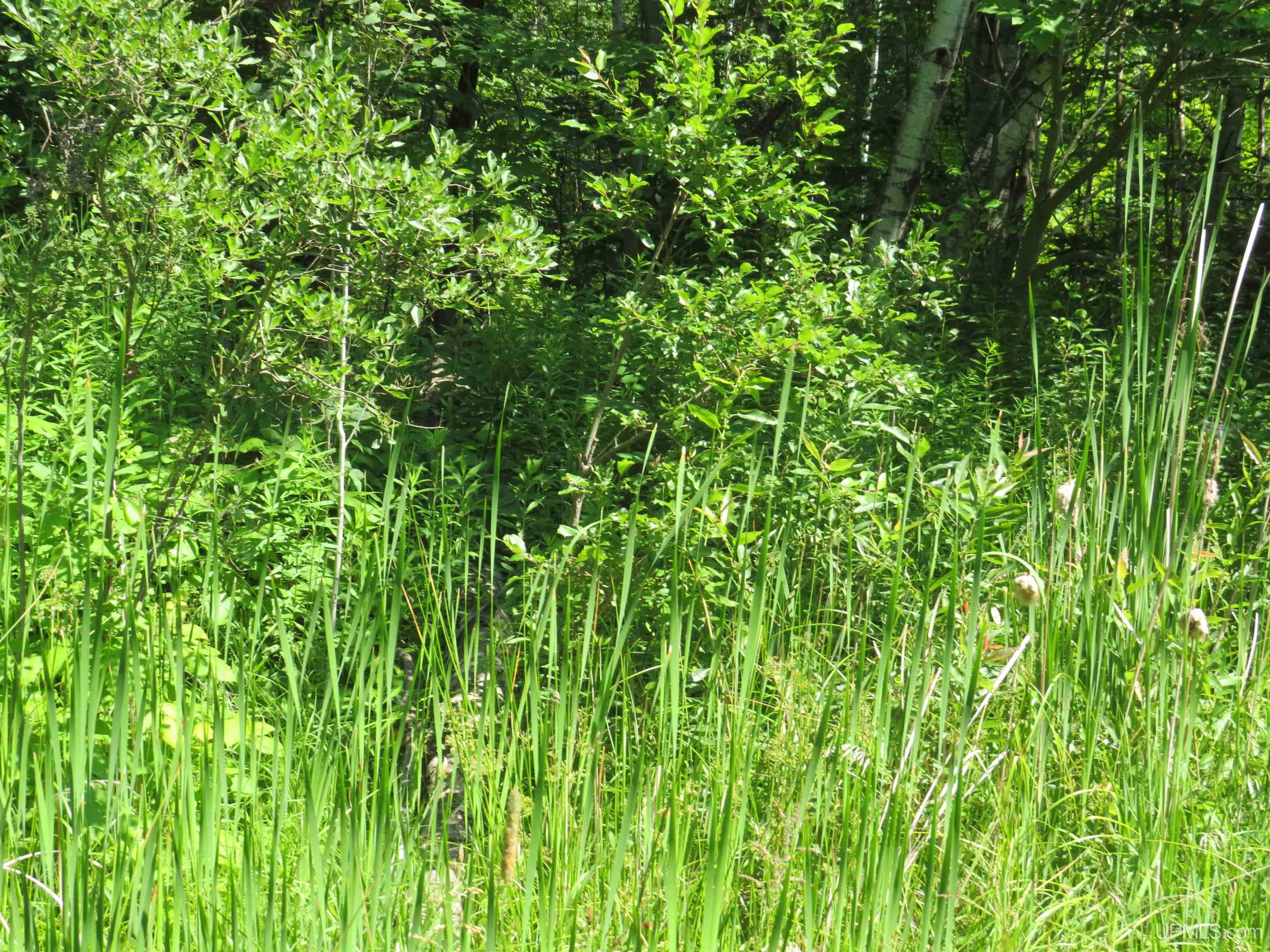Tbd Curlew Road Ontonagon, MI 49953 - Photo 31 of 36