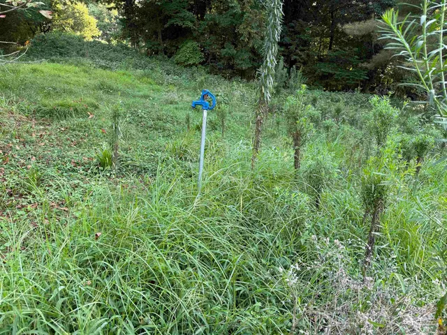 $39,900 | 502 Washington Street, Hazleton, IN 47640