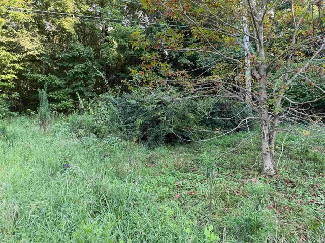 $39,900 | 502 Washington Street, Hazleton, IN 47640