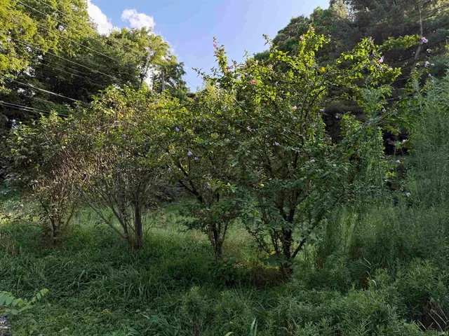 $39,900 | 502 Washington Street, Hazleton, IN 47640