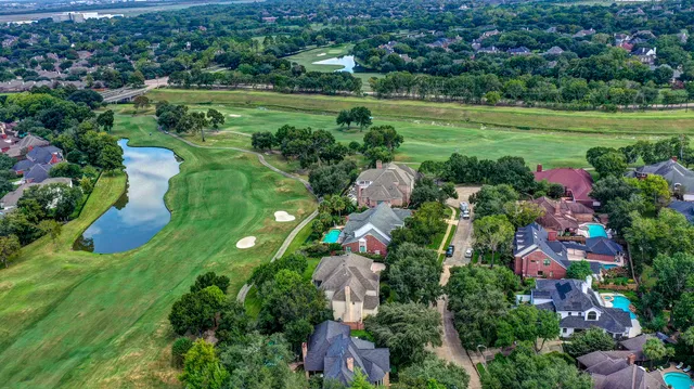 a view of a garden with plants and large trees