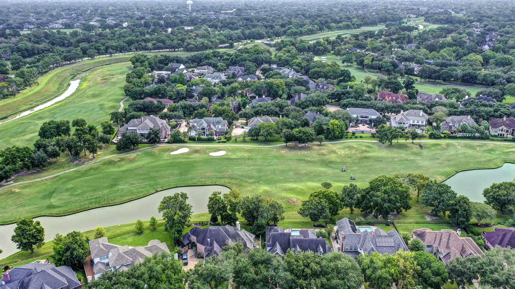 14310 Spring Maple Lane Houston, TX 77062 - Photo 39 of 40 a view of a garden with plants and large trees