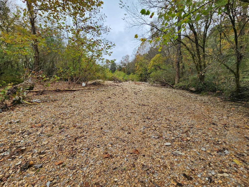 0 Sweetwater Road Liberty, TN 37095 - Photo 14 of 45