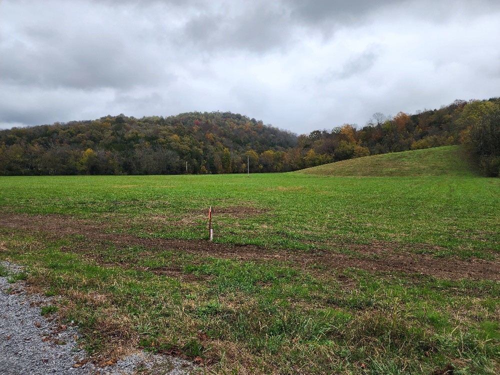 0 Sweetwater Road Liberty, TN 37095 - Photo 6 of 45