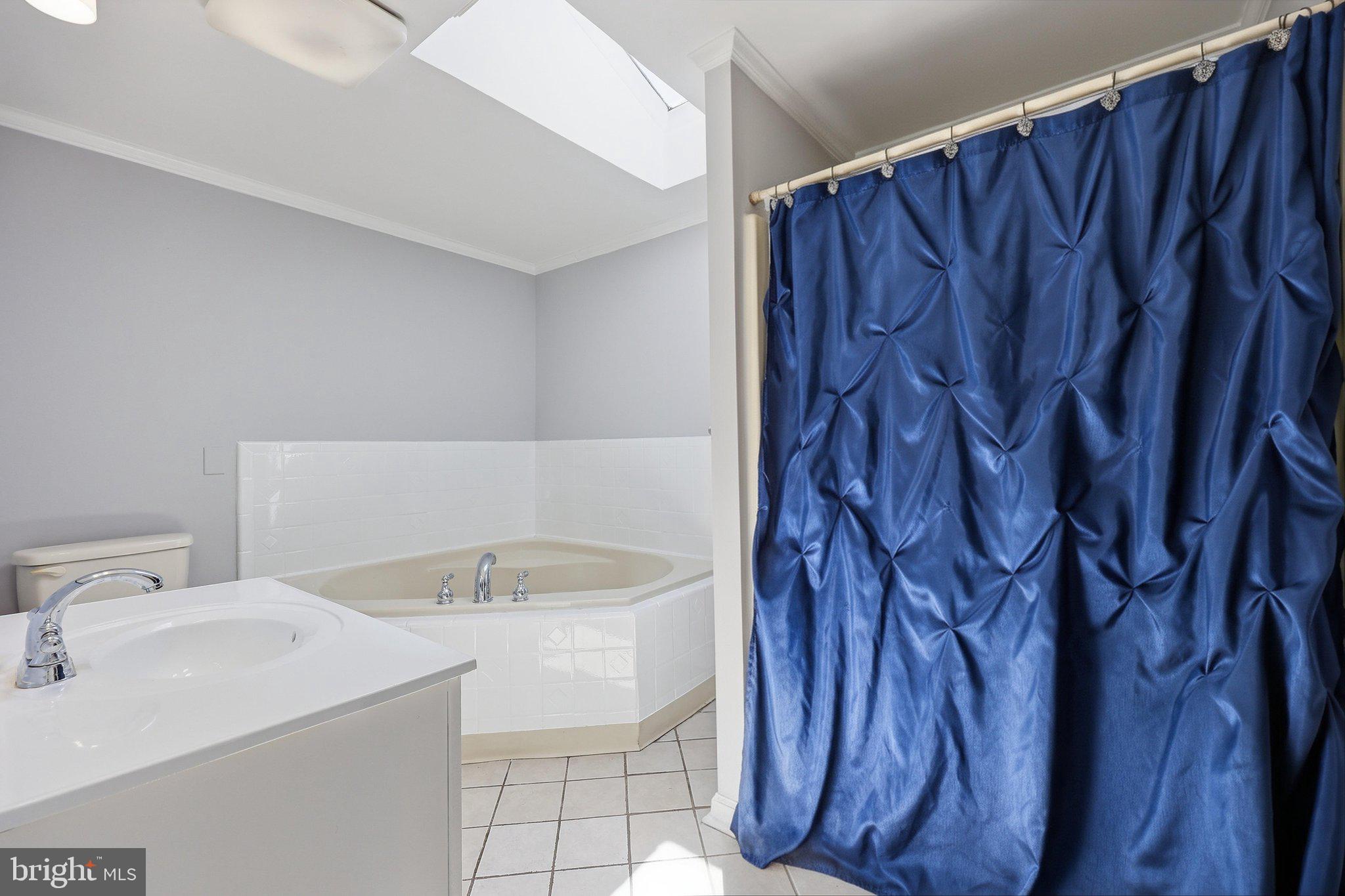 3814 Boteler Road Mount Airy, MD 21771 - Photo 21 of 61 Primary Bathroom