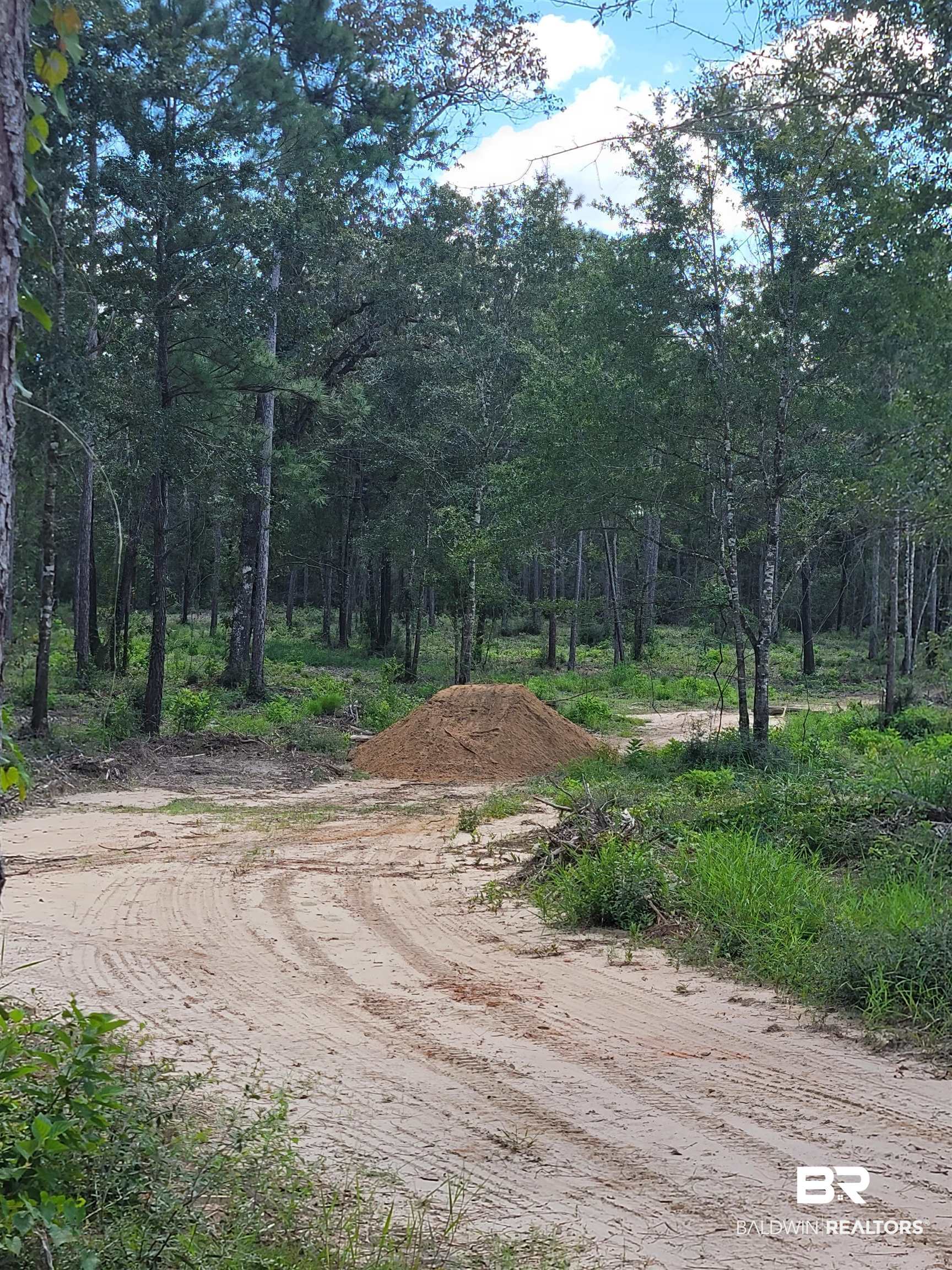Lot 10 Wildflower Trail Daphne, AL 36527 - Photo 5 of 7