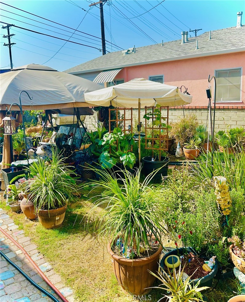 614 Arden Avenue Glendale, CA 91202 - Photo 4 of 8 Backyard greenery