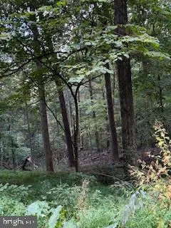 $49,900 | Cubby Hole Lane, Berkeley Springs, WV 25411