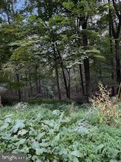 $49,900 | Cubby Hole Lane, Berkeley Springs, WV 25411