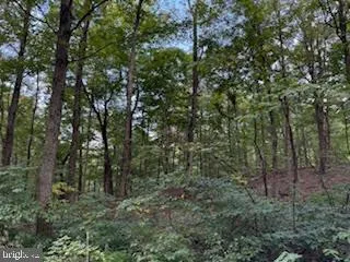 $49,900 | Cubby Hole Lane, Berkeley Springs, WV 25411