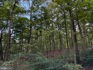 $49,900 | Cubby Hole Lane, Berkeley Springs, WV 25411