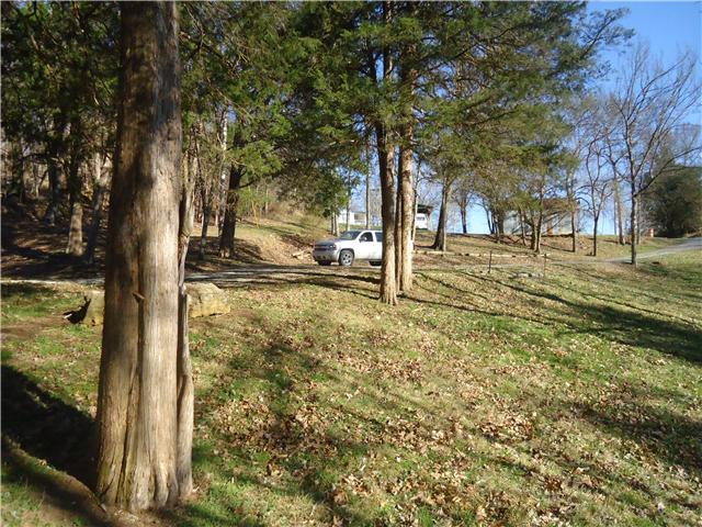 375 Young Hollow Road Pulaski, TN 38478 - Photo 13 of 18 drive to home