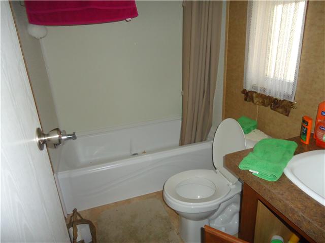 375 Young Hollow Road Pulaski, TN 38478 - Photo 14 of 18 Bathroom
