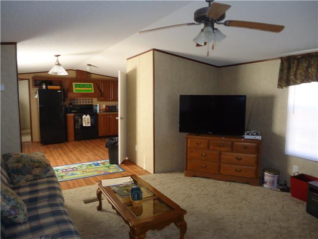 375 Young Hollow Road Pulaski, TN 38478 - Photo 3 of 18 Living Room