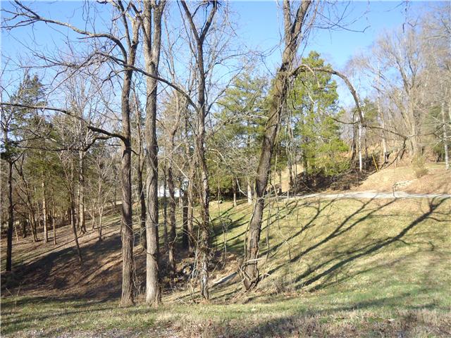 375 Young Hollow Road Pulaski, TN 38478 - Photo 9 of 18 very private with woods all around