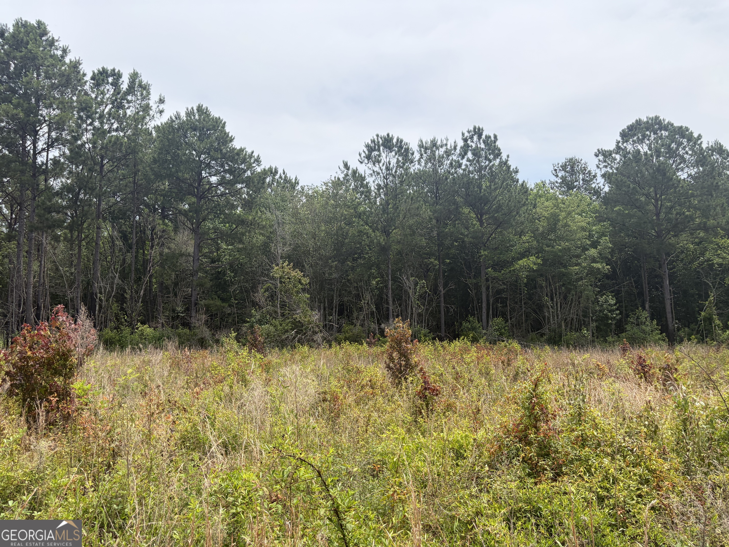 6 Sunhill Grange Road Sandersville, GA 31018 - Photo 3 of 8