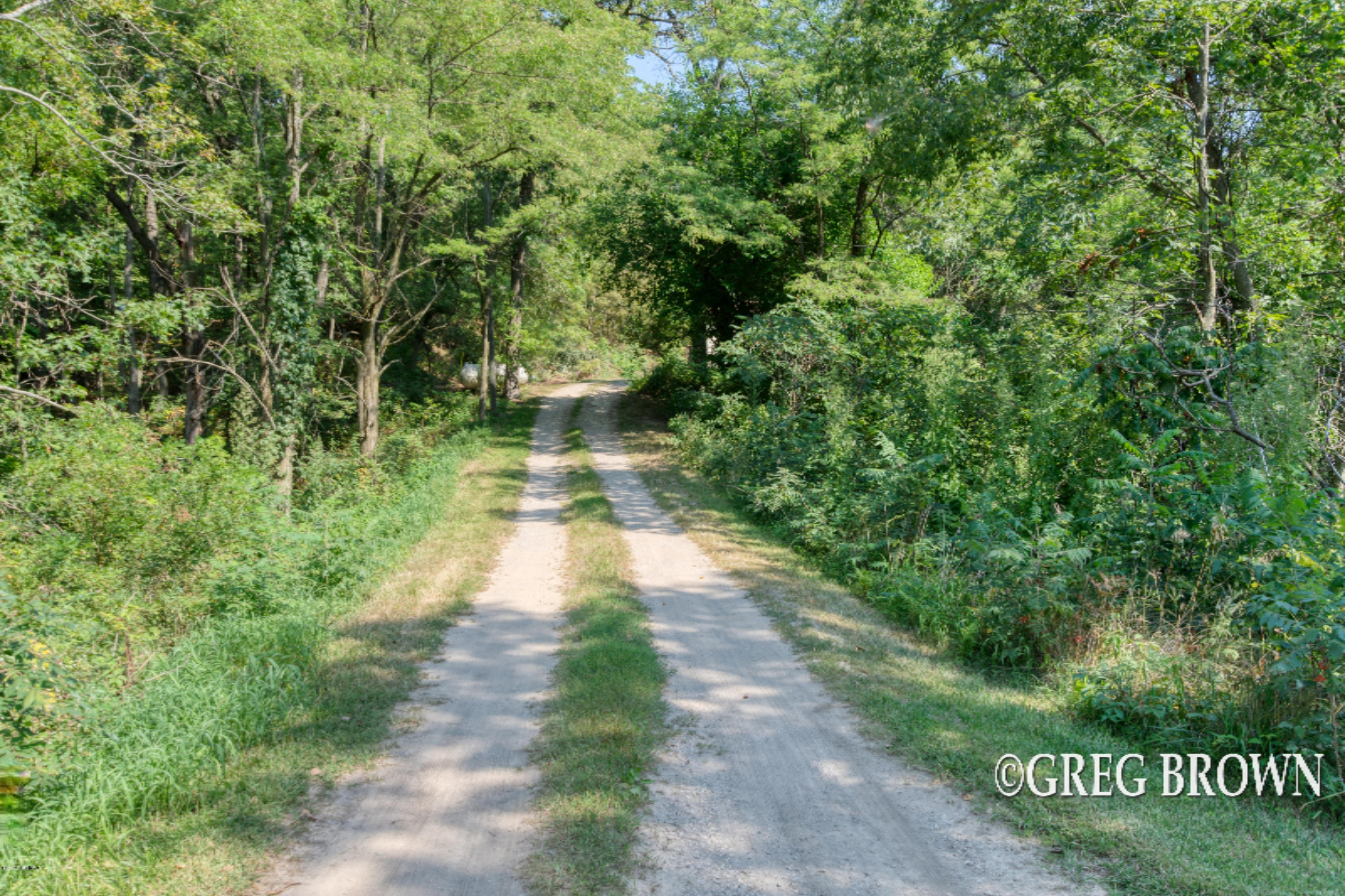 11440 Ellis Road Belding, MI 48809 - Photo 2 of 44 DSC_0009_2