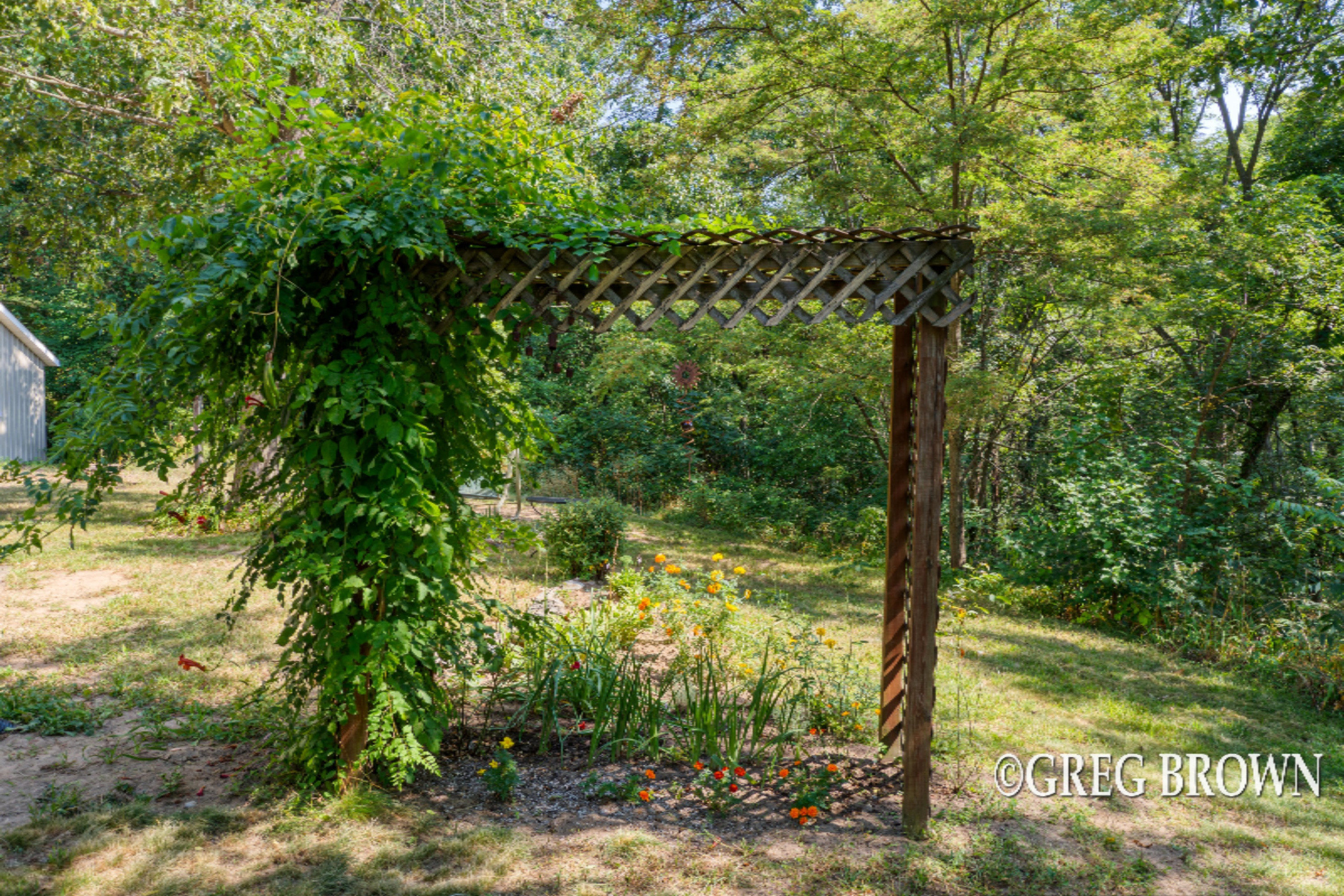 11440 Ellis Road Belding, MI 48809 - Photo 35 of 44 DSC_0032_7