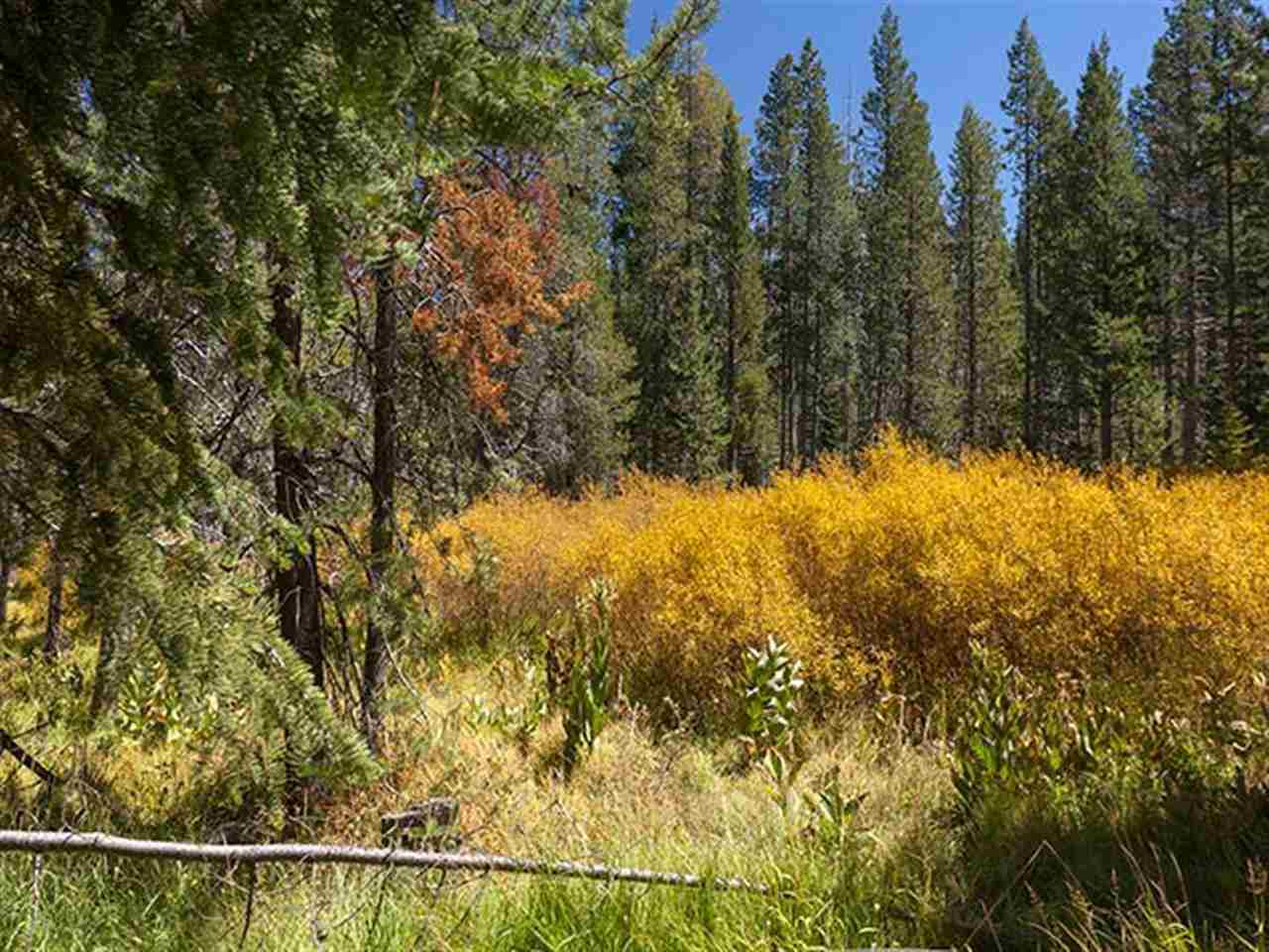 12737 Hillside Drive Truckee, CA 96161 - Photo 13 of 14