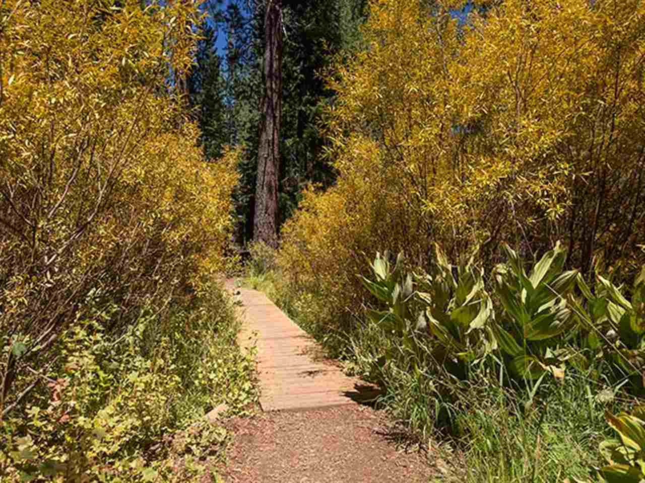 12737 Hillside Drive Truckee, CA 96161 - Photo 14 of 14