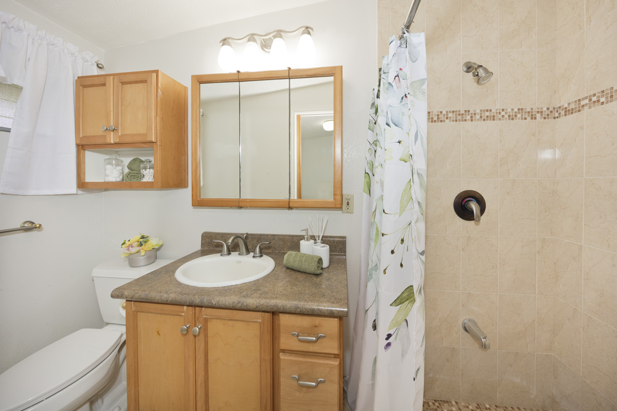 49 Iiwipolena Road Hilo, HI 96720 - Photo 21 of 30 a bathroom with a sink and a mirror
