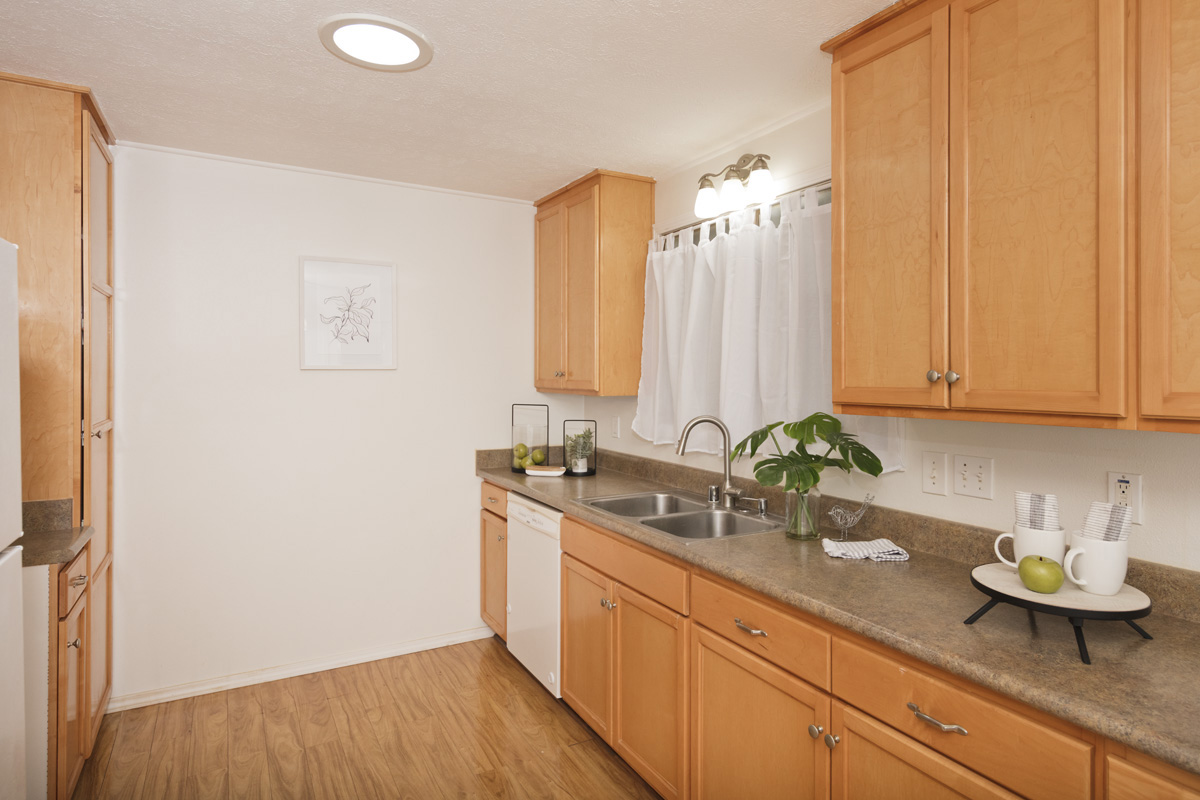 49 Iiwipolena Road Hilo, HI 96720 - Photo 7 of 30 a kitchen with a sink and cabinets