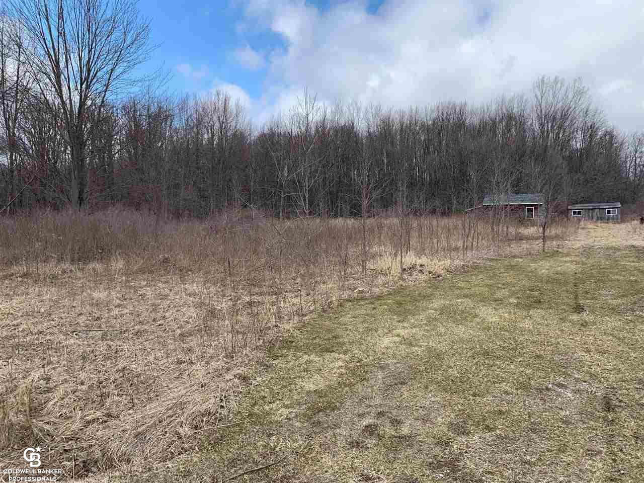 0 Oatman Road Avoca, MI 48006 - Photo 3 of 6