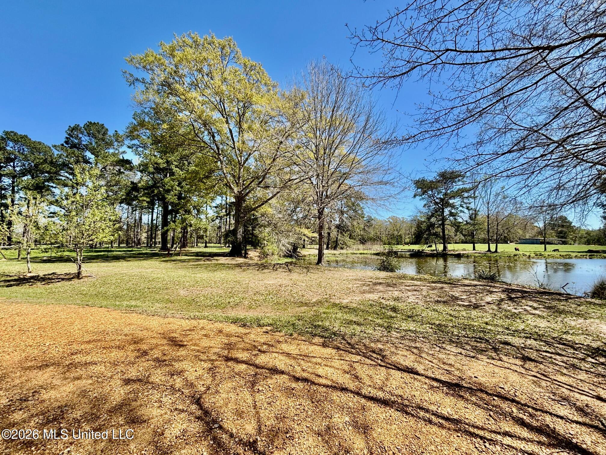 54 Kennedy Road, Unit 1 Tylertown, MS 39667 - Photo 2 of 34 IMG_3005