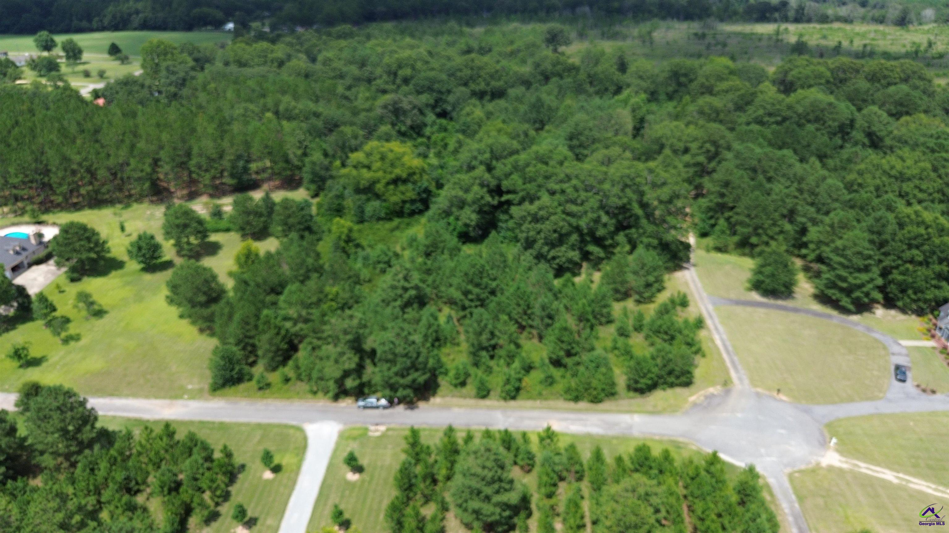Nubby Lane Cochran, GA 31014 - Photo 7 of 13 a view of a yard with plants and large trees