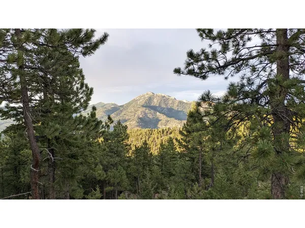 $219,000 | 1312 Chute Road, Golden, CO 80403