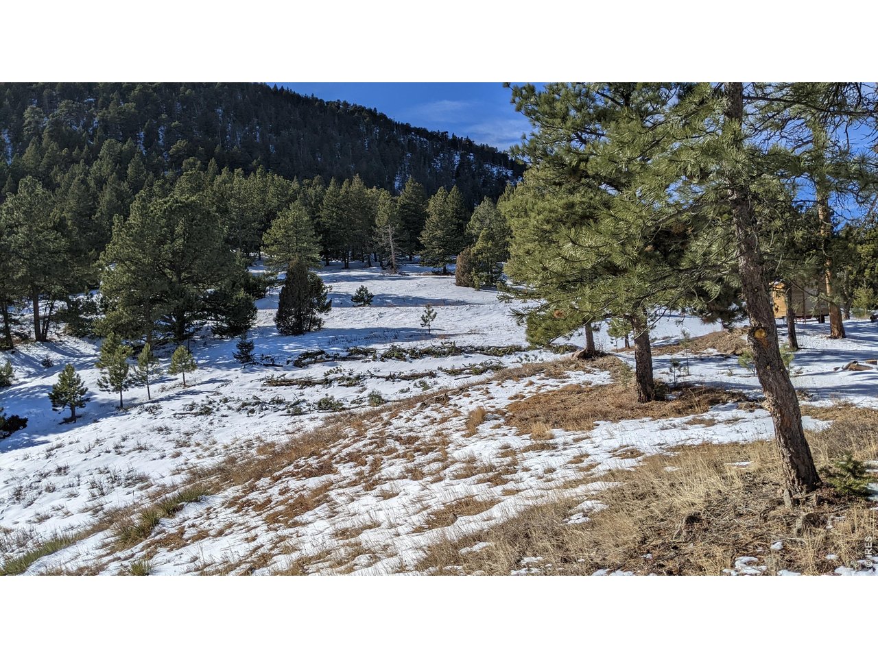 1312 Chute Road Golden, CO 80403 - Photo 12 of 35