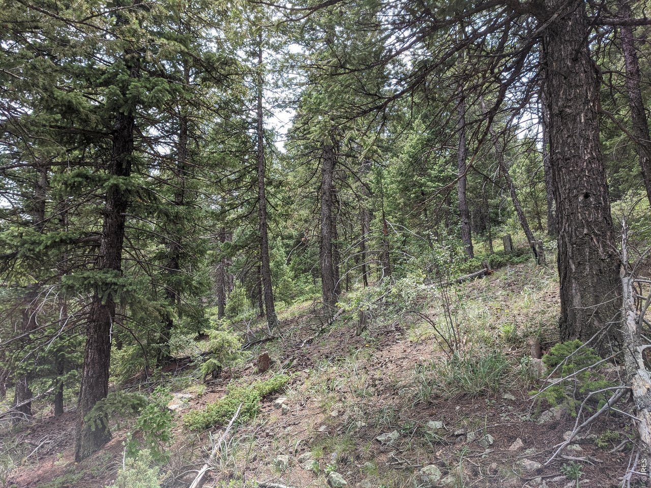 1312 Chute Road Golden, CO 80403 - Photo 13 of 35