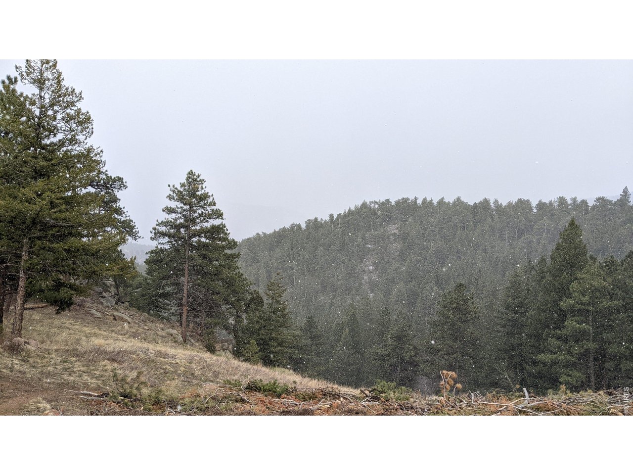 1312 Chute Road Golden, CO 80403 - Photo 14 of 35